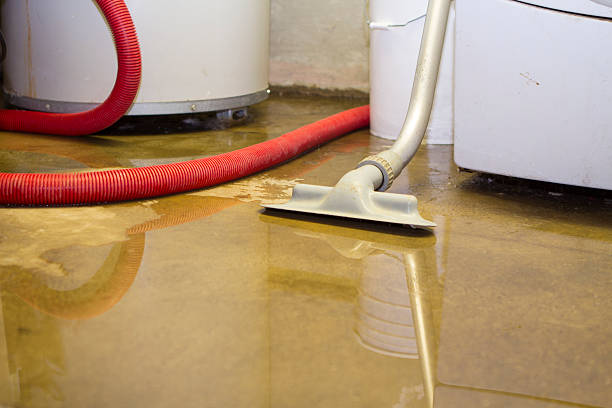 Best Storm and Flood Water Damage Restoration in Sumas, WA