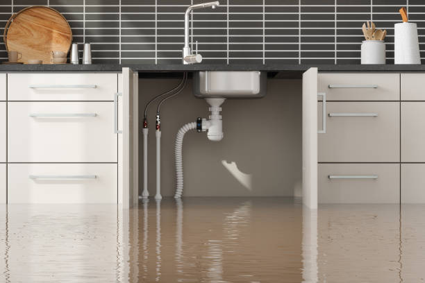 Best Wood Floor Water Damage Restoration in Sumas, WA