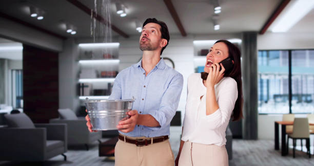 Best Basement Water Damage Restoration in Sumas, WA